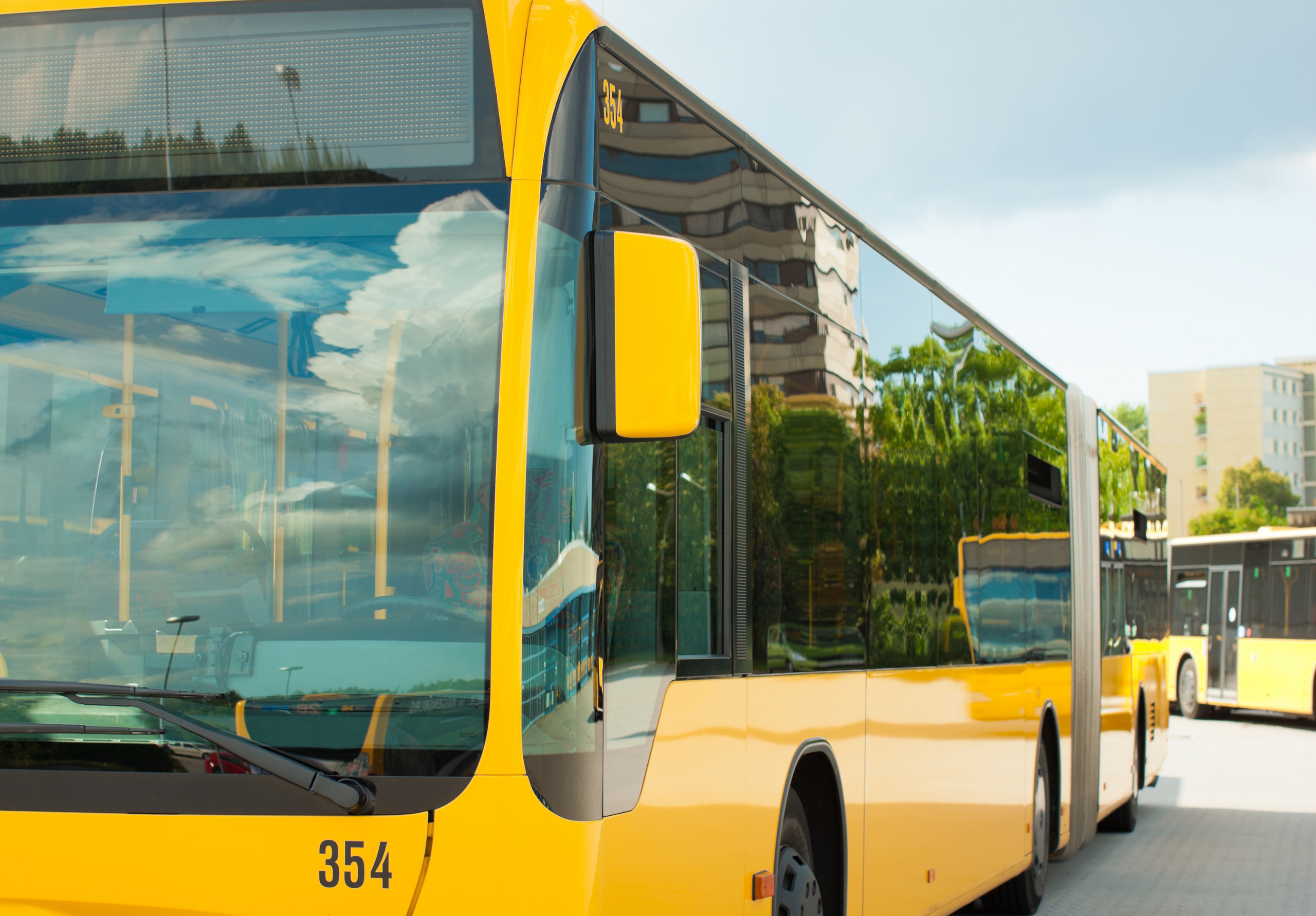 bus bus