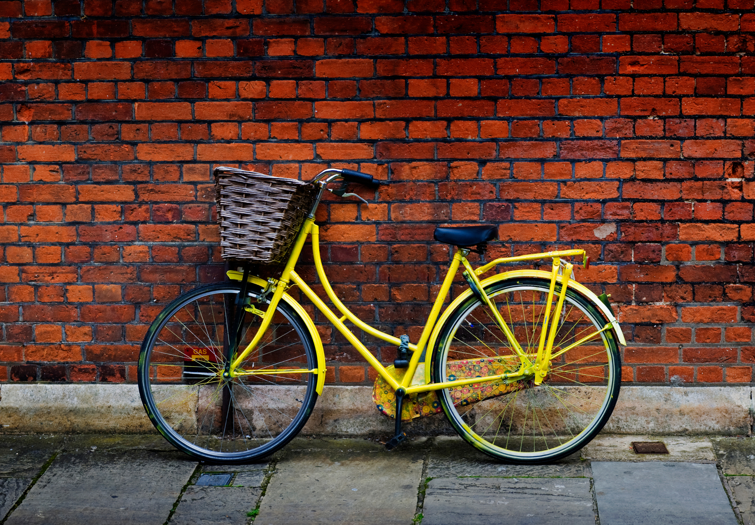 vélo vélo