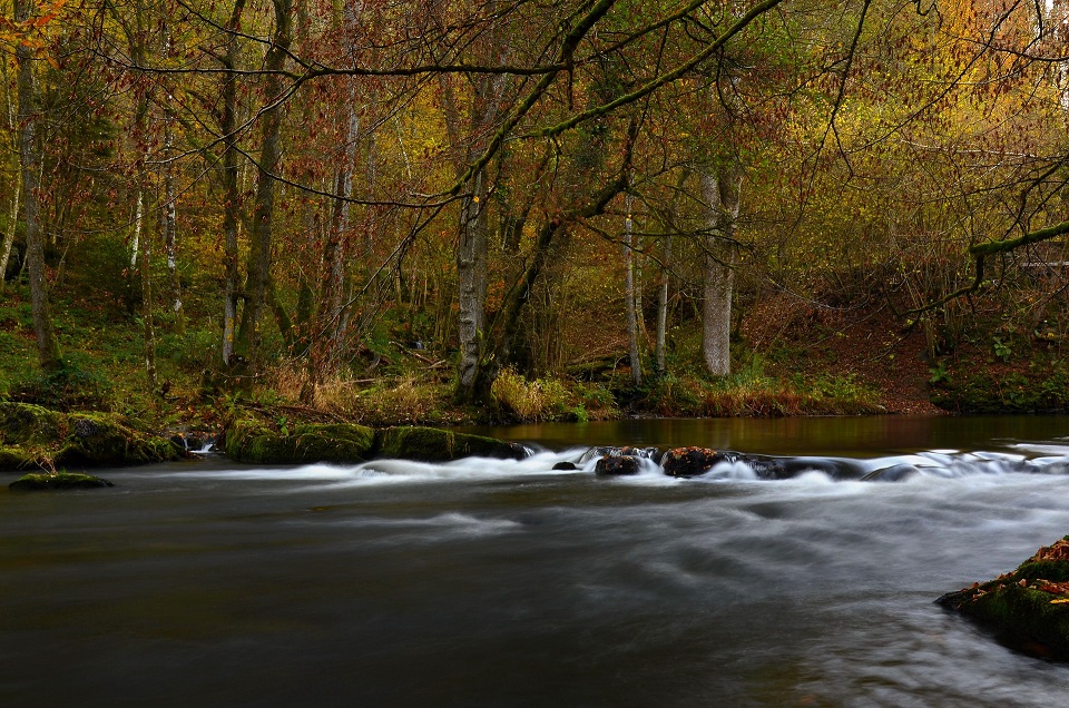 parc-national-ardennes-thierache